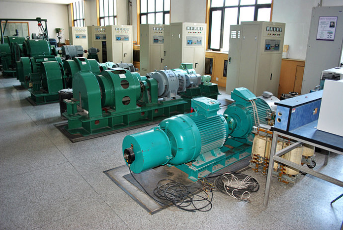 Y4502-4某热电厂使用我厂的YKK高压电机提供动力