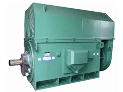 Y4502-4Y系列6KV高压电机